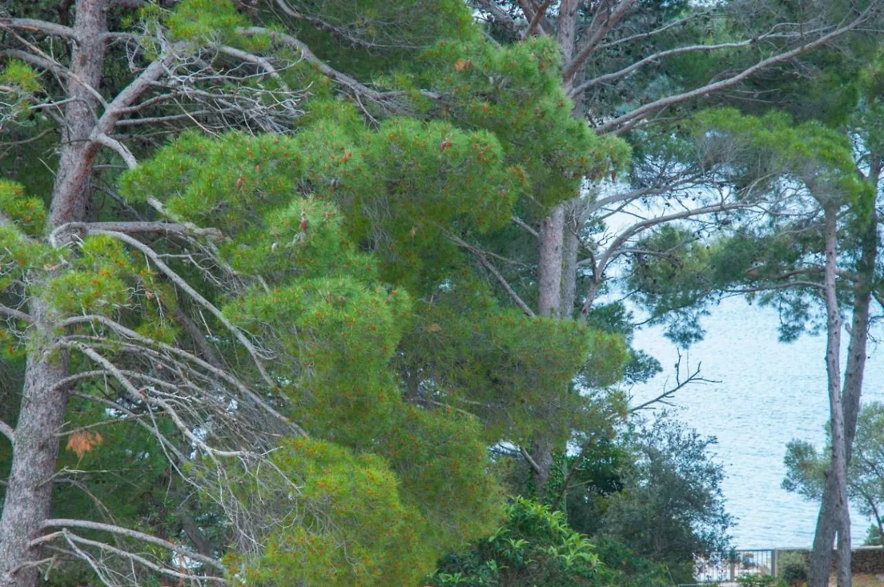 Apartment Villa Tina Mali Losinj
